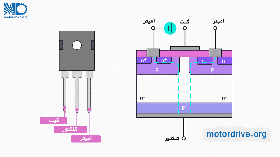 پایه های IGBT امیتر گیت کلکتور